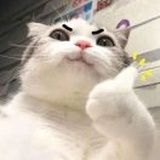 久   安