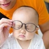 萝卜的小胖子