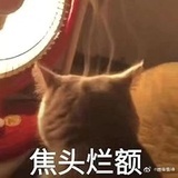 你的宝贝江湖骗子
