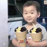 狗塑达人