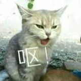 墙上的老鼠药