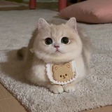 丨