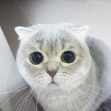 不可思议的事