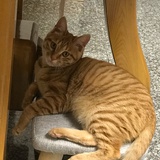 豆友214129291