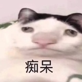 起名会死
