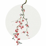 春宫琼枝