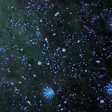 芜空