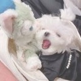 耶