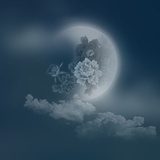 向往自由自在