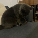 豆友214188057