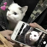 野蛮小幺