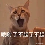 牛奶蒸蛋蒸不熟