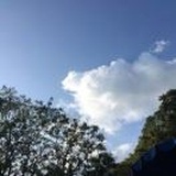 布塔