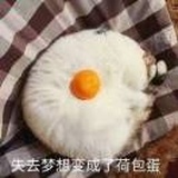 zhuzhu