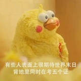 阿拉斯加雪橇犬