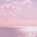 ʚ安晴ɞ