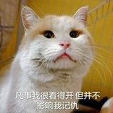 豆友214379992