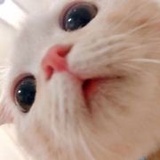 我的名字是乱耳