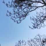唔西迪西