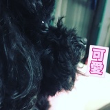 阿菲要长命百岁
