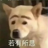 人间嗑药🐔