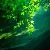 山色空濛雨亦奇