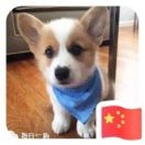 木木