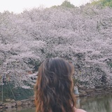 静香