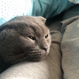 徐贱贱
