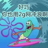 雀实虎