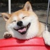 最近爱铁蹄