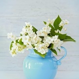 春暖花开