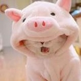是栗子呀