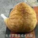 橘猫打不过狸猫