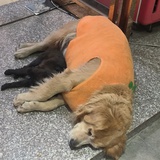 豆友214562427