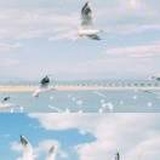 阴天快乐