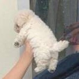 木华之中