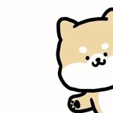 愿·相逢