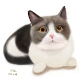 憨憨