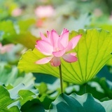 豆友214633176