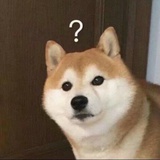 豆友214639225