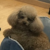 豆友214653070