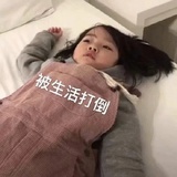 小迪哞哞哞
