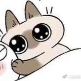 T-wei