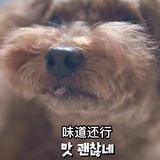 大花小花和斑比