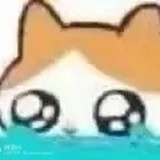 渊