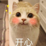 豆友214681959
