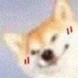 豆友214724361