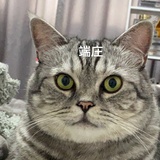 vvvsss