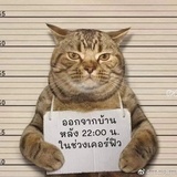 热心市民皿女士